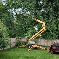 Best Sod Installation  in East Greenville, PA