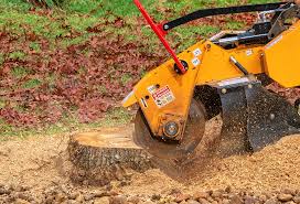 Grass Overseeding in East Greenville, PA