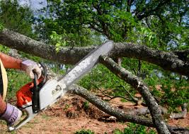 Best Leaf Removal  in East Greenville, PA