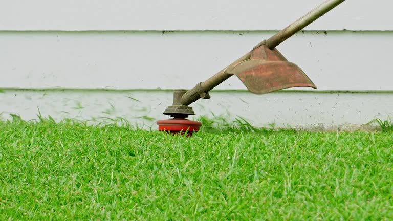 Best Lawn Pest Prevention  in East Greenville, PA